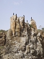 PB290109 Rocky outcrop off Kiama Downs